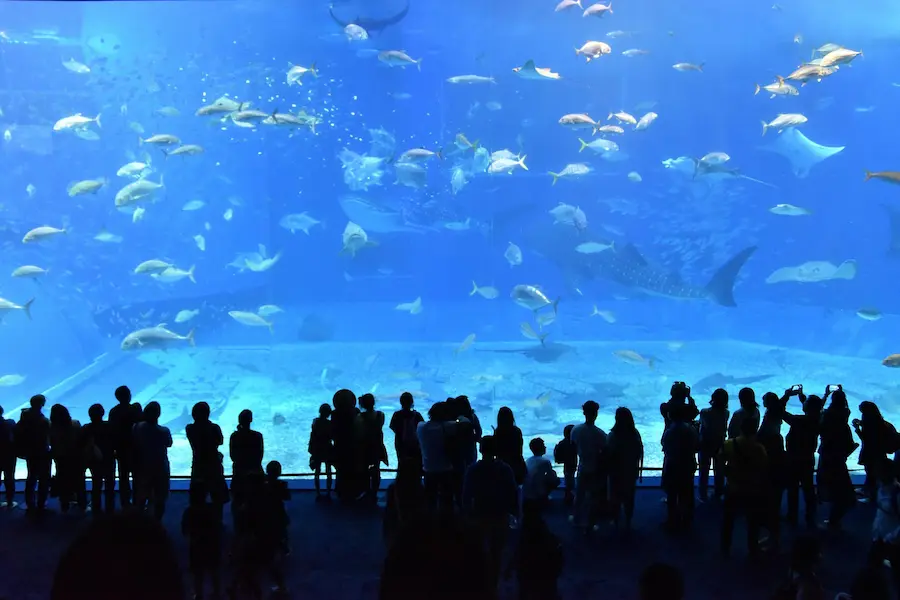 AquaRio aquarium in Rio de Janeiro
