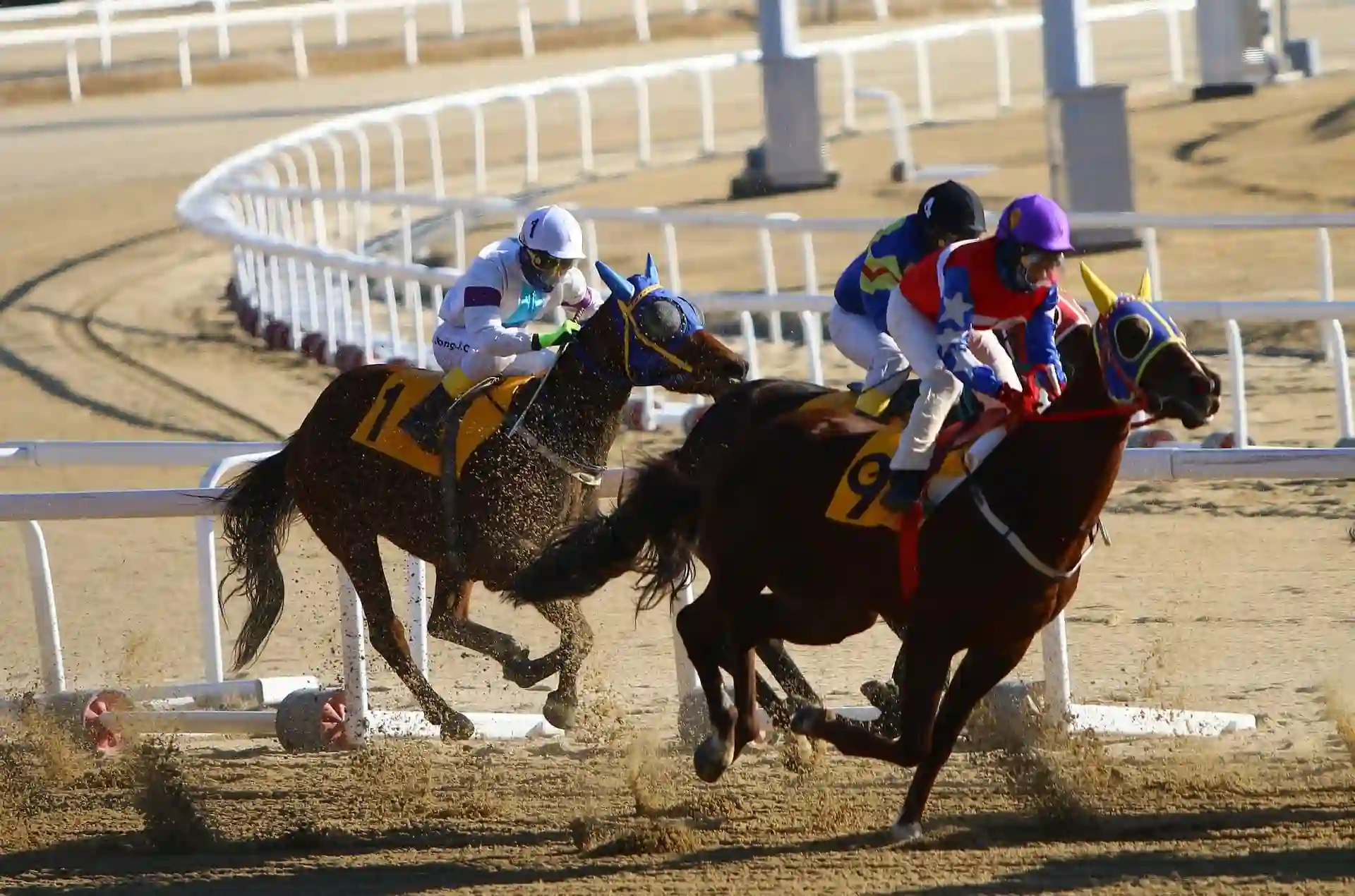 Horse Racing at Meydan