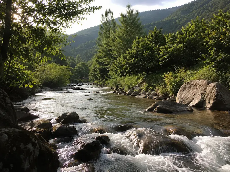 Sapanca et Maşukiye