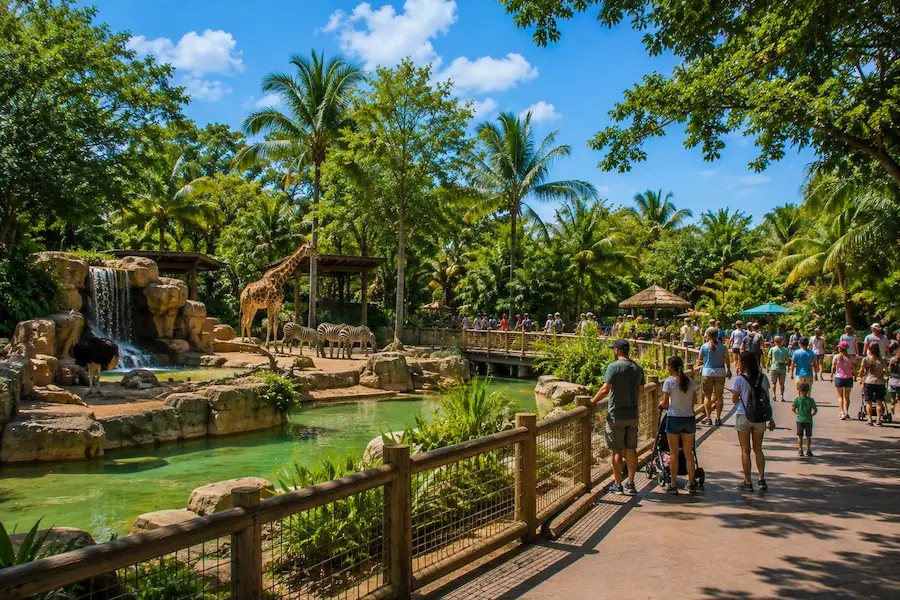 Zoo Miami en Floride