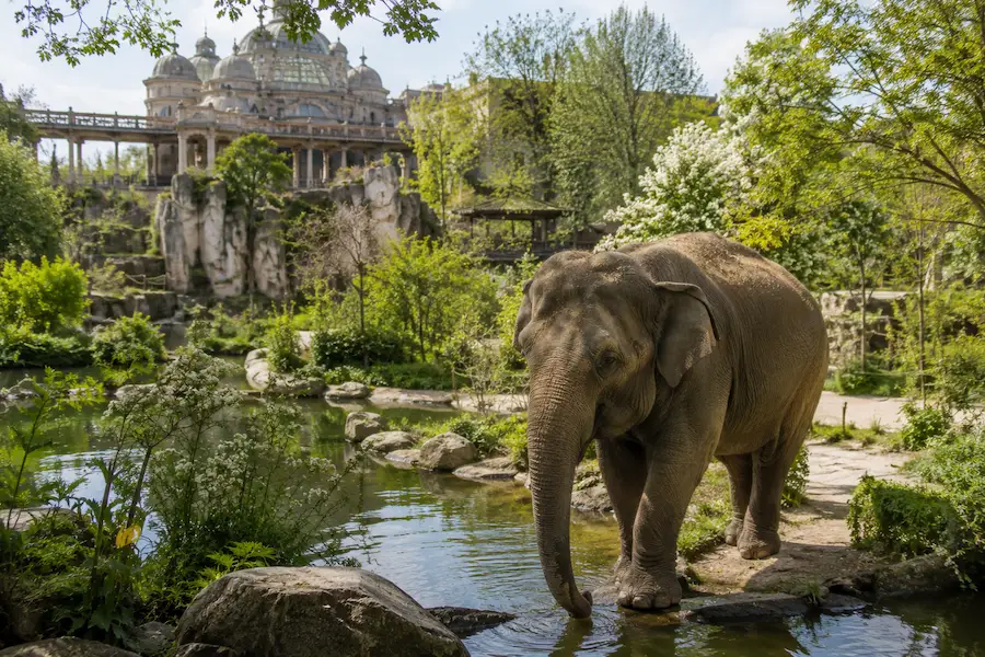 Pairi Daiza en Belgique