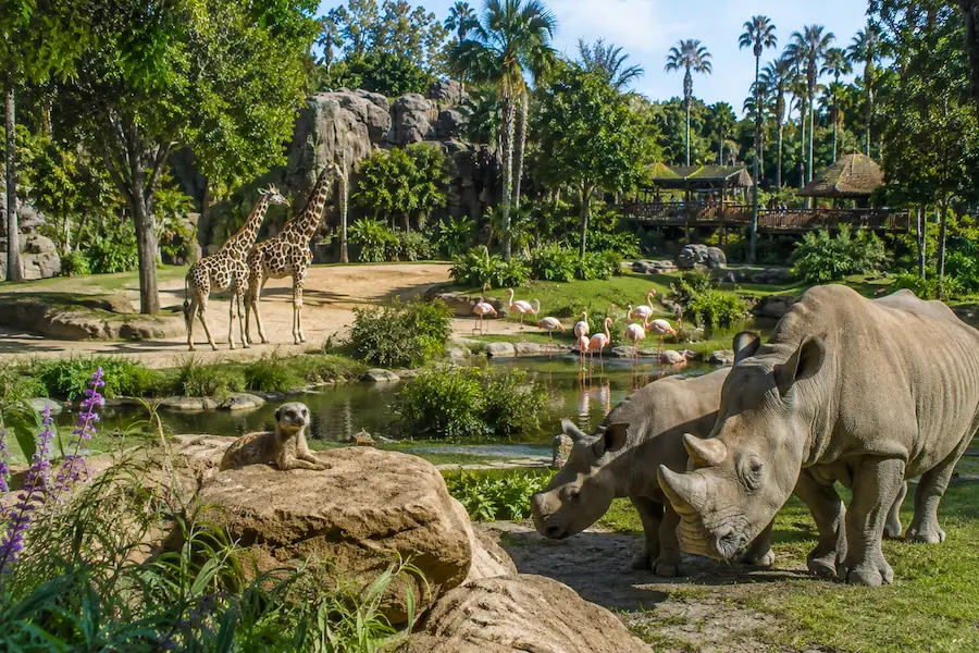 San Diego Zoo en Californie